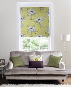 Visit our eBay store for these made to measure Roman Blinds http://stores.ebay.co.uk/Moonshadow-Blind